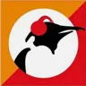 Pinguin Indie