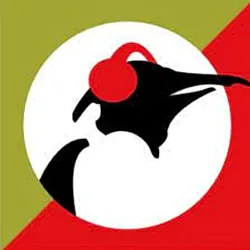 Pinguin Groove