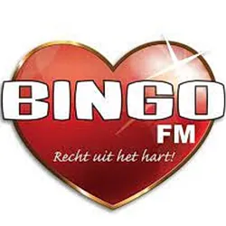 Logo Bingo FM